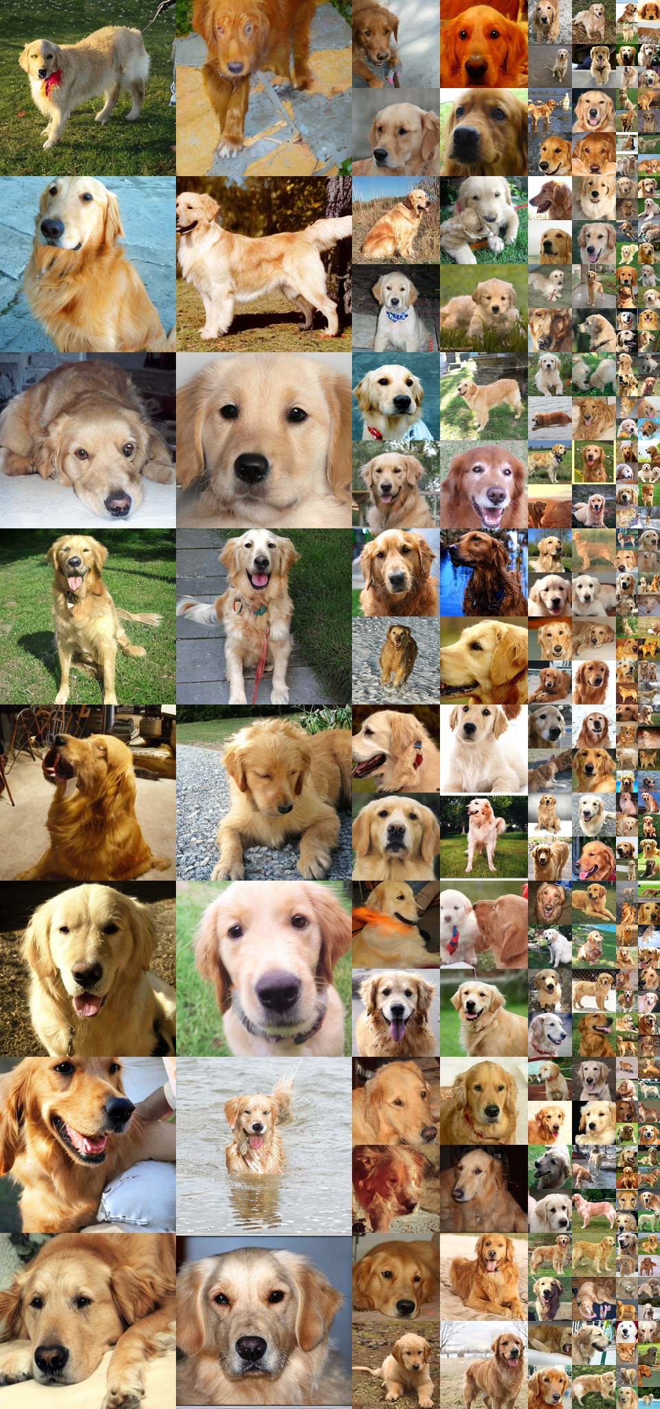 原论文 Figure 30：未经筛选的 ImageNet 生成样本