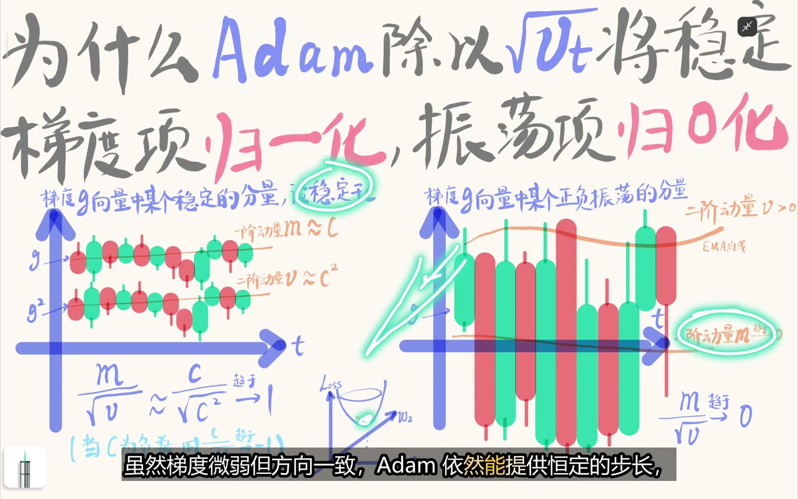 Adam 抑制横跨山谷的振荡并保留沿谷方向的持续推进