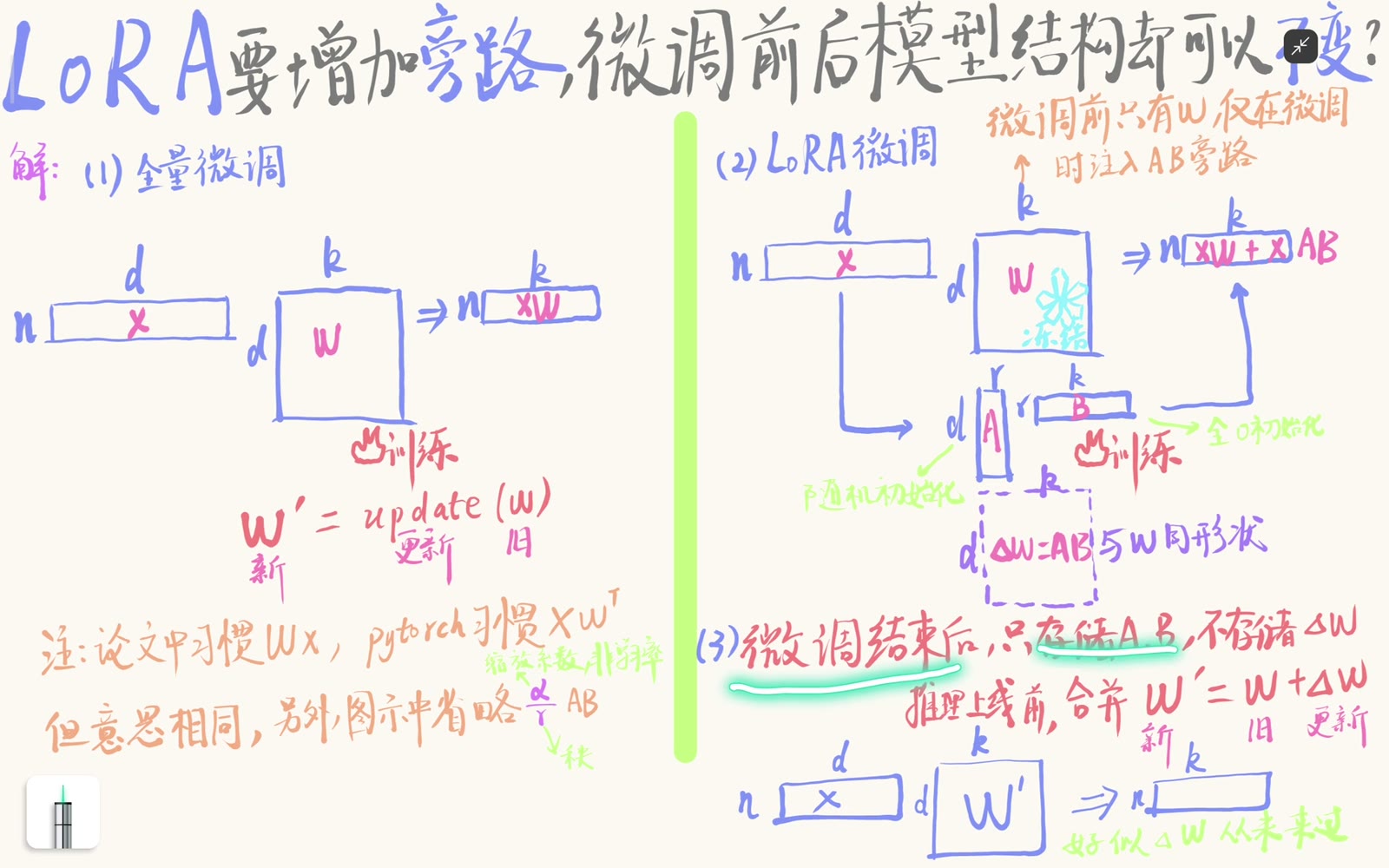 LoRA 适配器只在微调时注入并训练