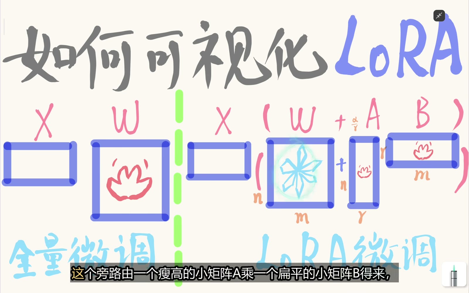 LoRA 冻结基座大矩阵 W