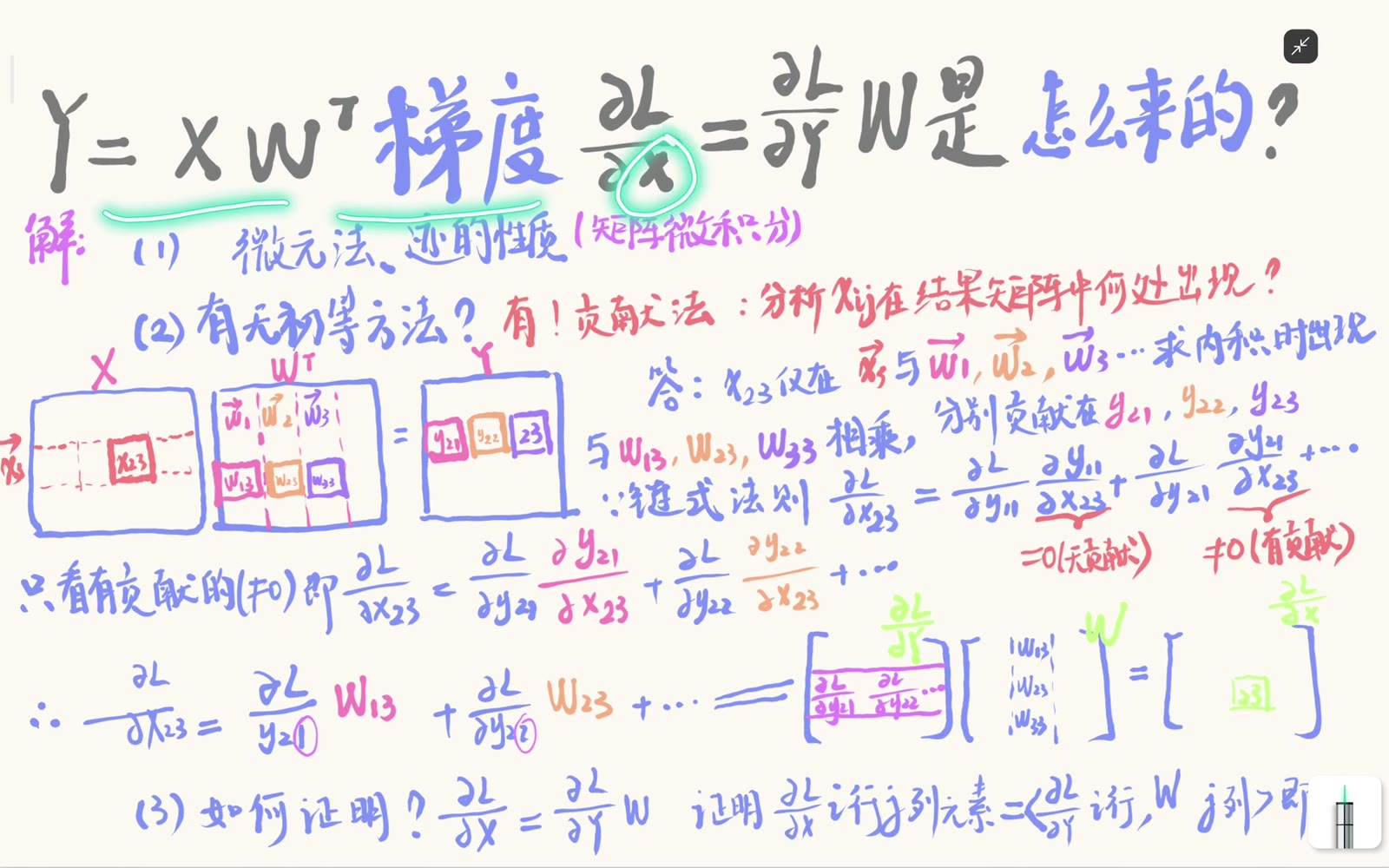 线性层前向约定与输入梯度目标公式