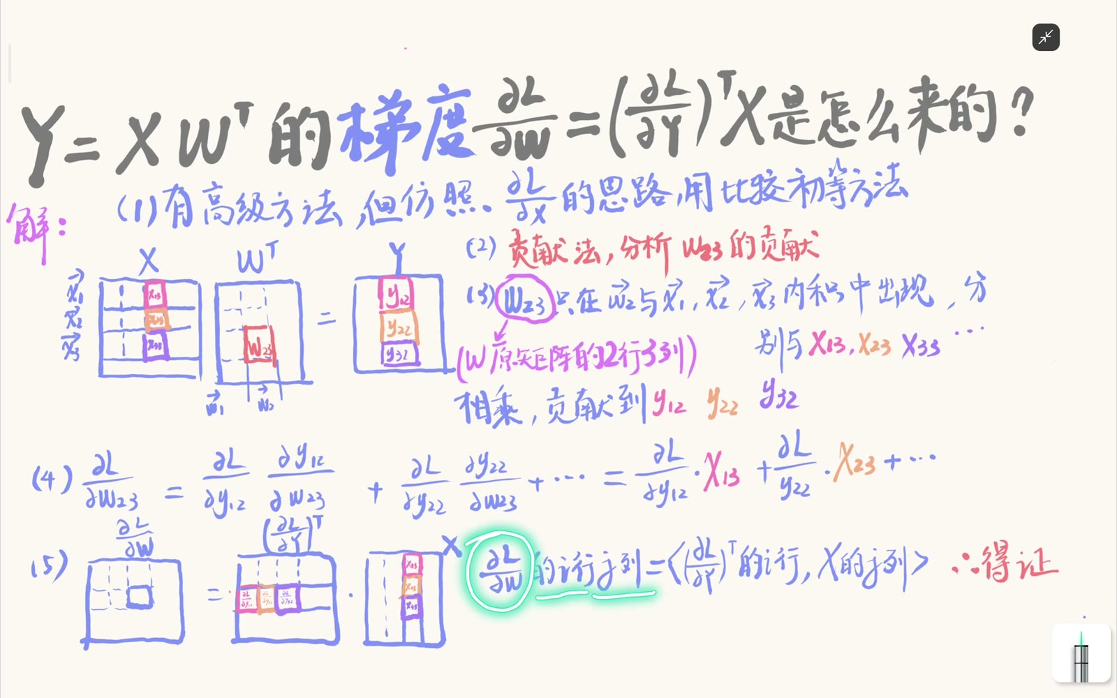 上游梯度转置后的第二行与输入第三列给出 dw23