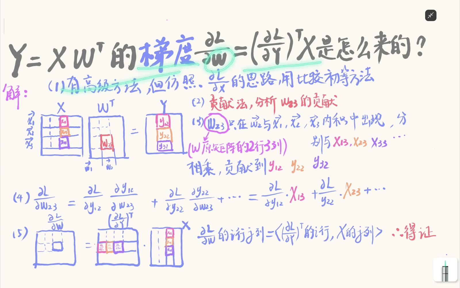 线性层前向与权重梯度的整体公式