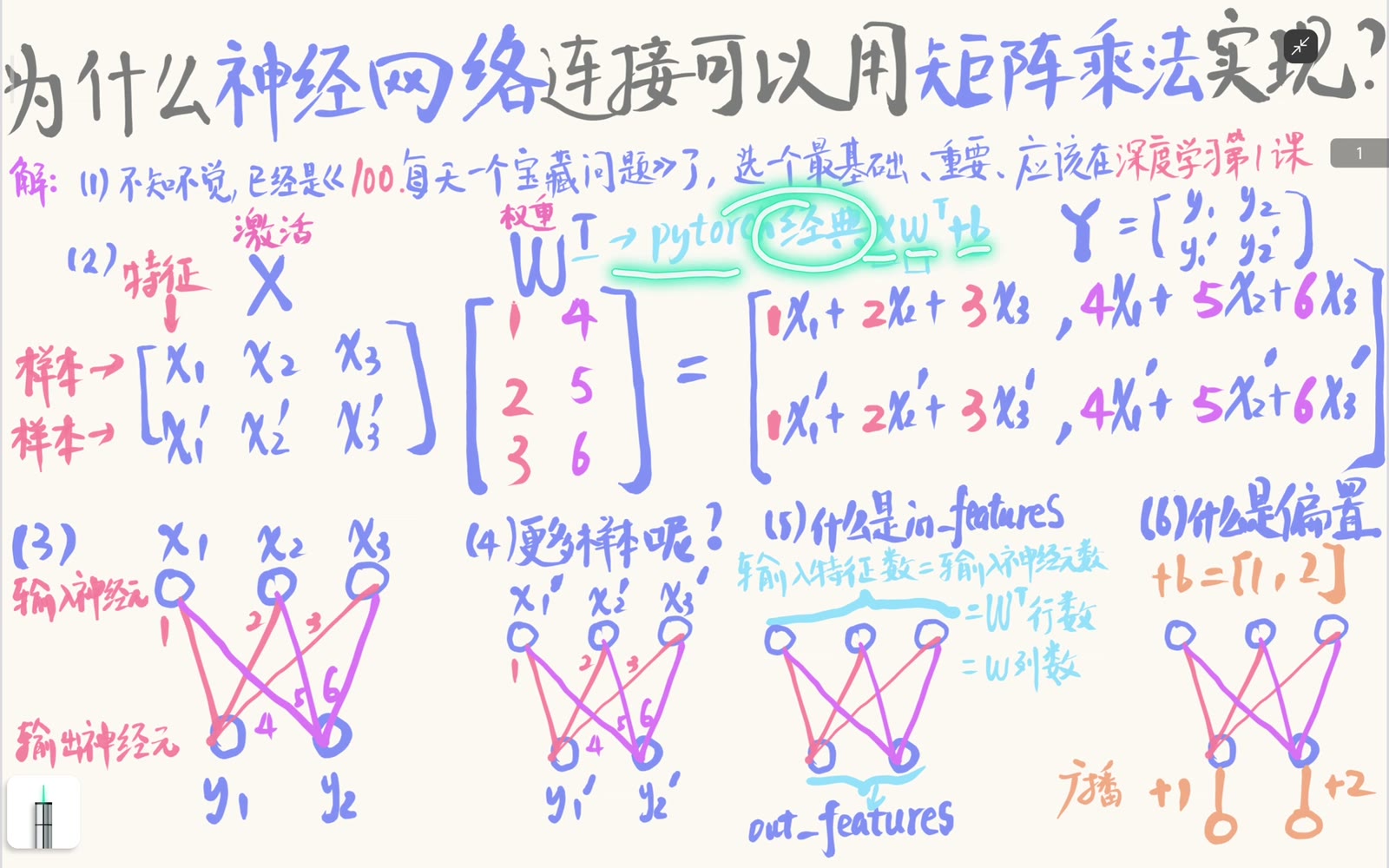 PyTorch 线性层的输入权重输出整体布局