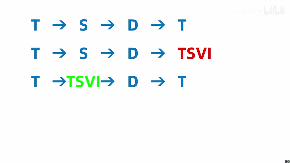 同一 TSVI 分别置于 D 后与 T-D 之间，两种颜色强调不同功能侧面