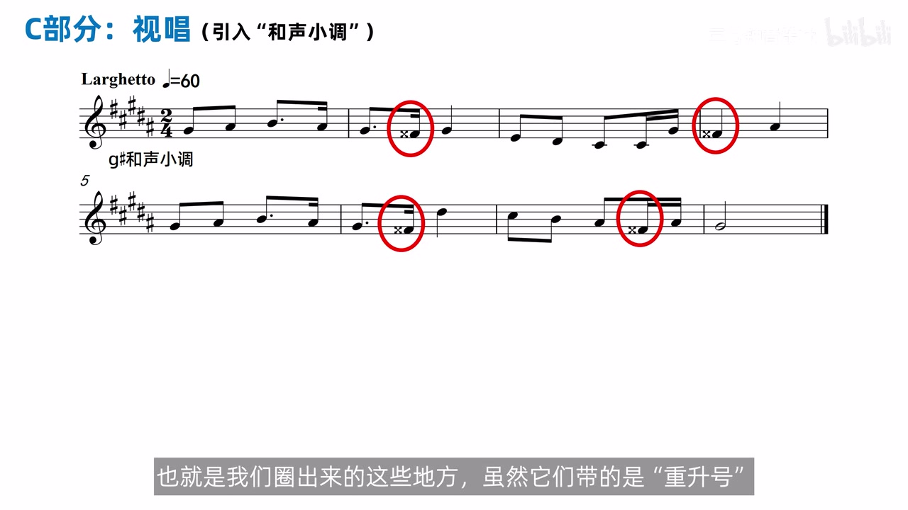 升 g 和声小调中以重升号表示第七级